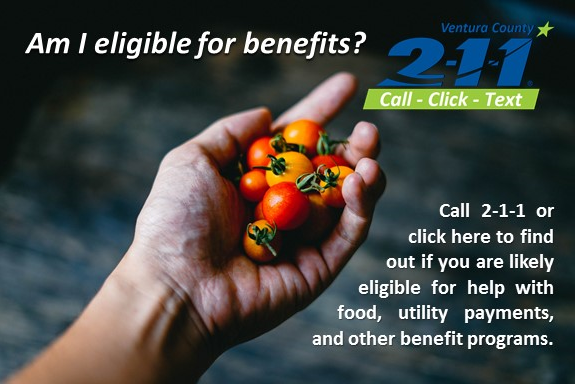 211 benefits flyer