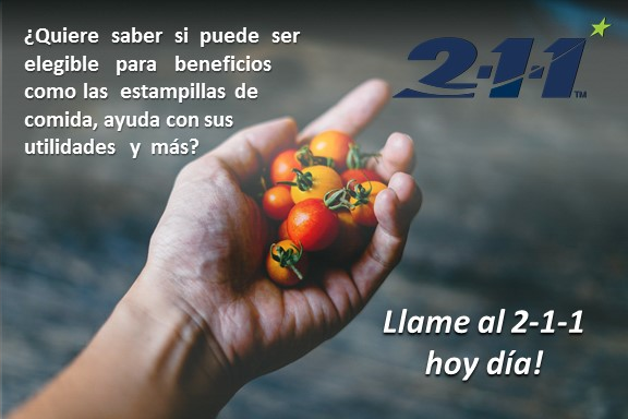 211 benefits flyer Spanish