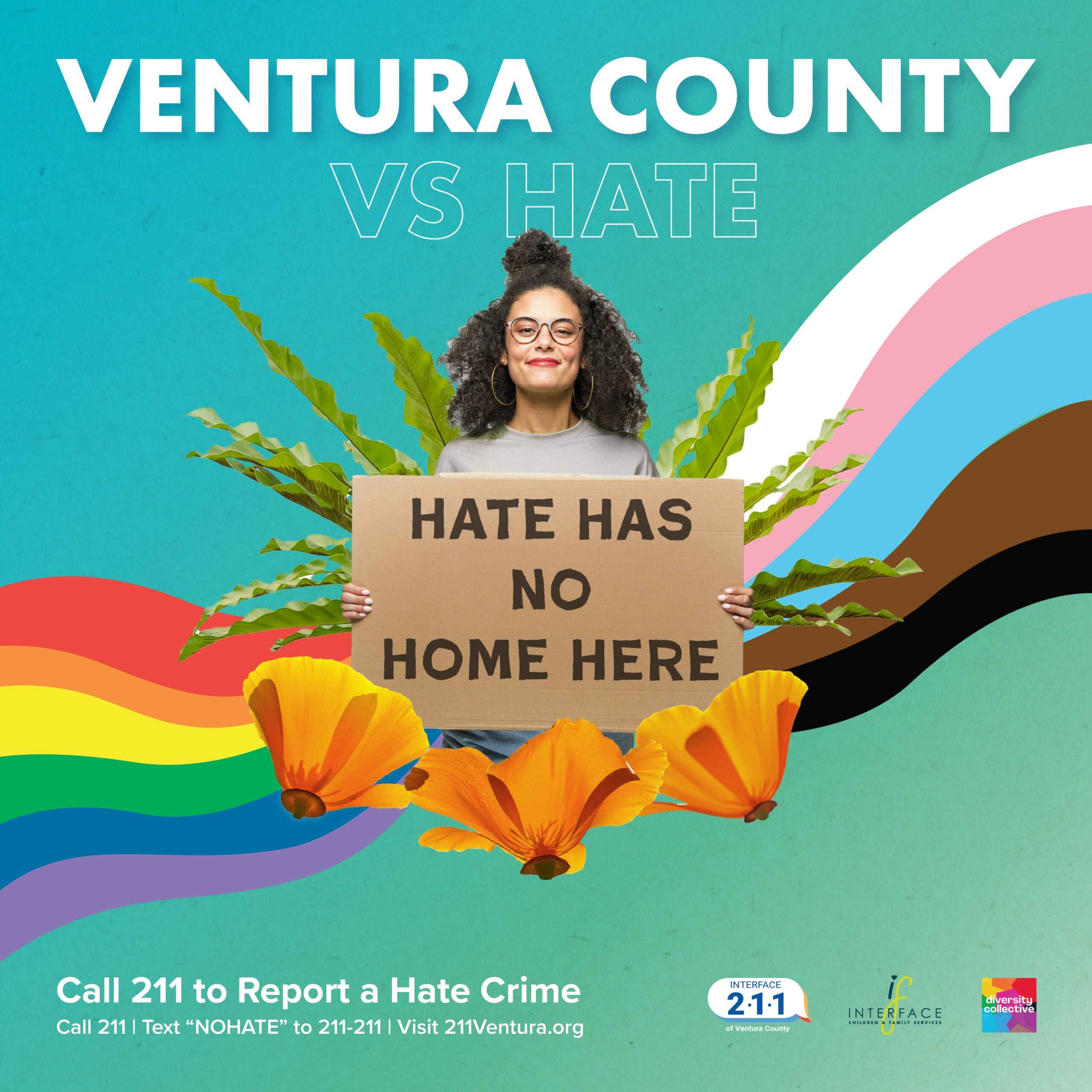 Ventura vs Hate poster image